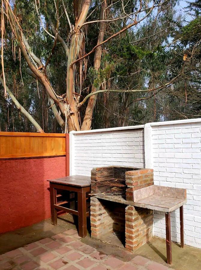 Con Tinaja Caliente, Quincho Y Pet Friendly Isla Negra